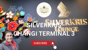 Exclusive Access: Star Alliance Lounge Singapore Changi Tour