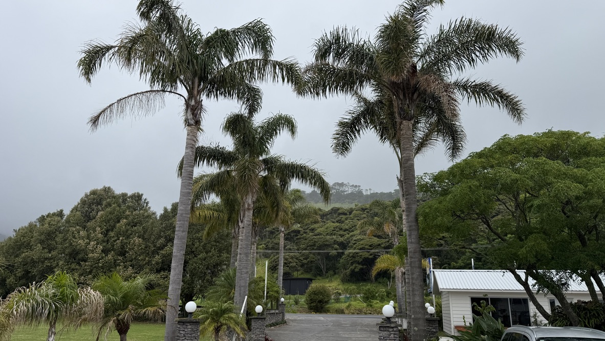 The Sands Hotel Hokianga Ōmāpere Palms 