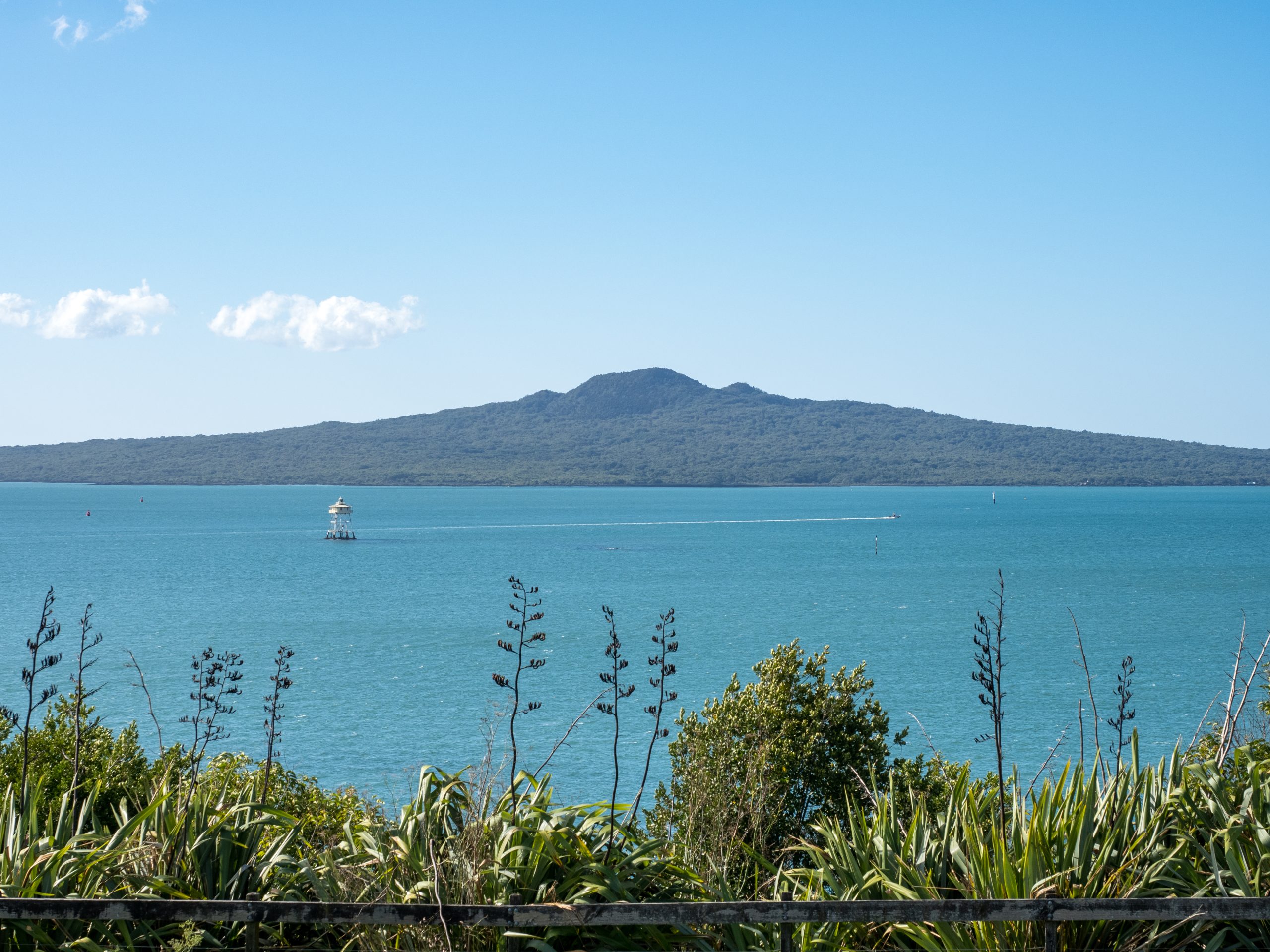 Rangitoto Island - An Avid Traveller
