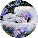 Random Human profile picture