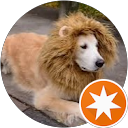 lion_doge profile picture