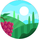 Chris Berkers profile picture