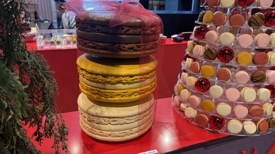 French macarons enjoyed outdoors in Auckland CBD near Commercial Bay, showing soft gooey centres and crisp shells. - An Avid Traveller