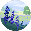 김경 profile picture